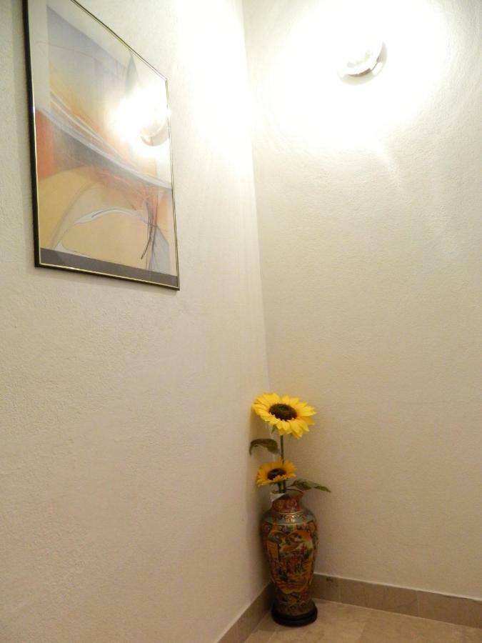 Apartmán Ema Brela Exteriér fotografie